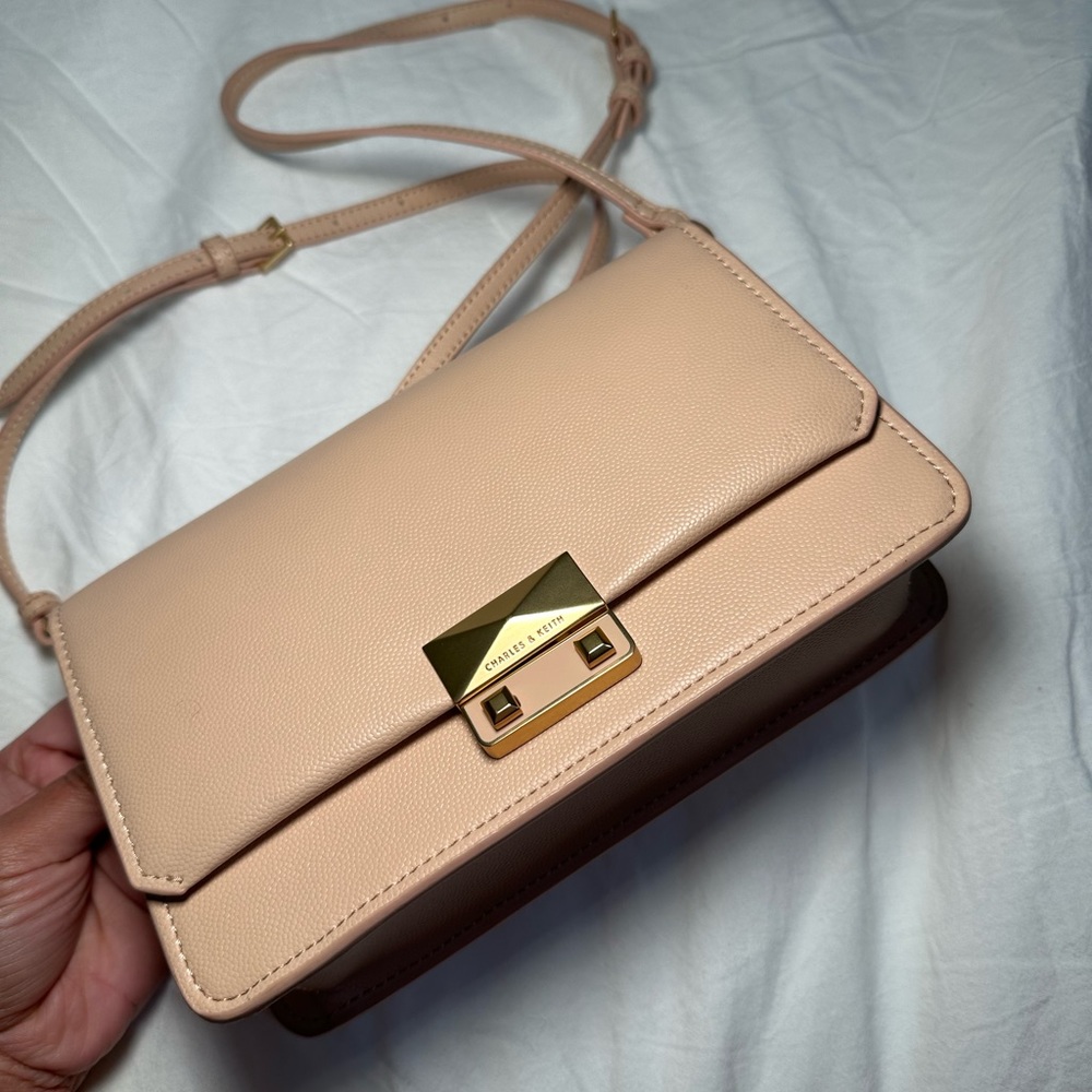 Charles & Keith Blush Wallet Bag